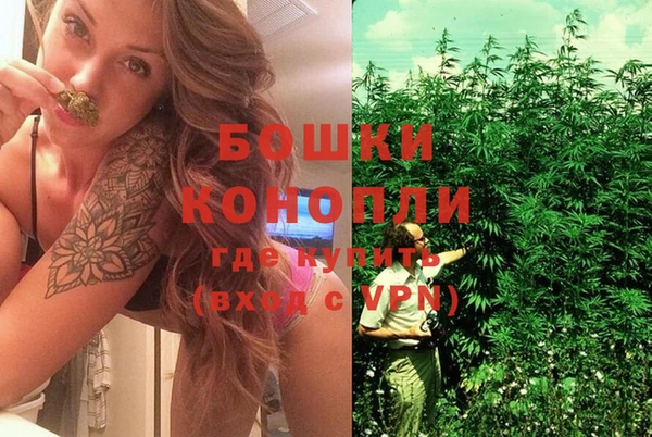 каннабис Покачи