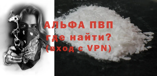 PSILOCYBIN Бородино