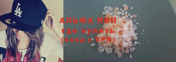 PSILOCYBIN Бородино