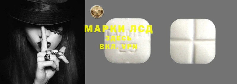 мяу мяу мука Покровск